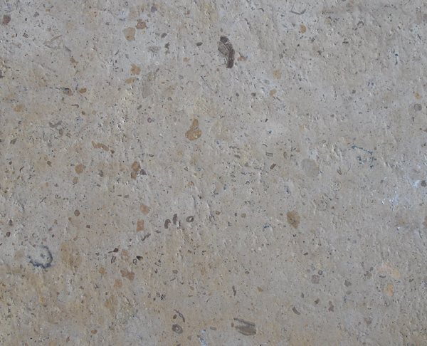 China Newstar Chinese Limestone Grey Limestone Limestone Tile